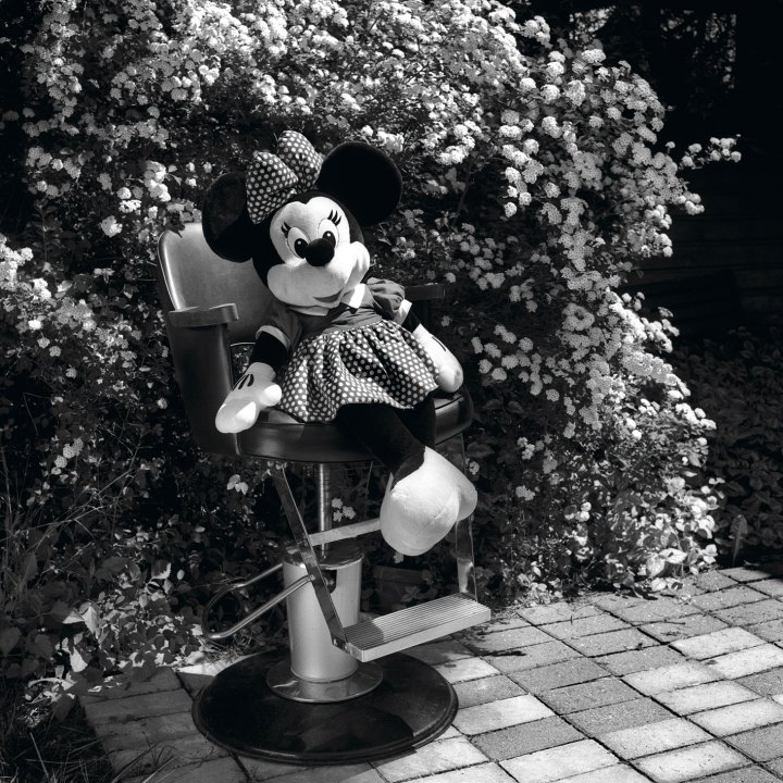MINIE-pearl-WEB
