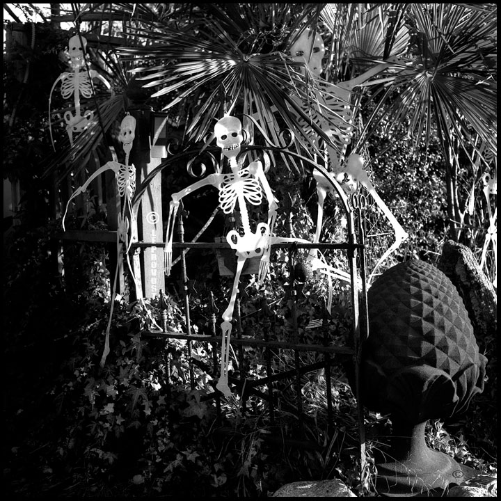 Squelettes_Boundary-Bay_WEB