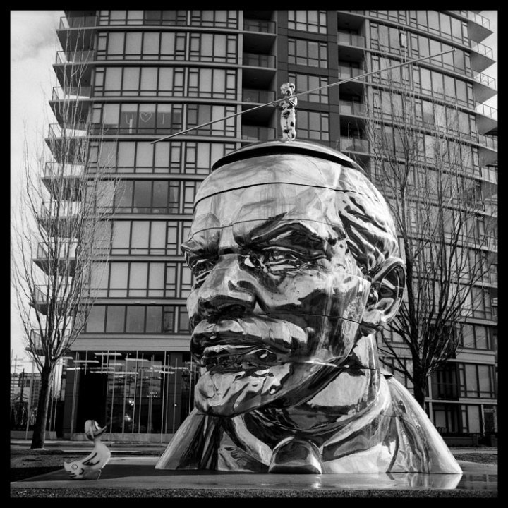 Miss-Mao_Marx_the_duck/Pierre Le Provost