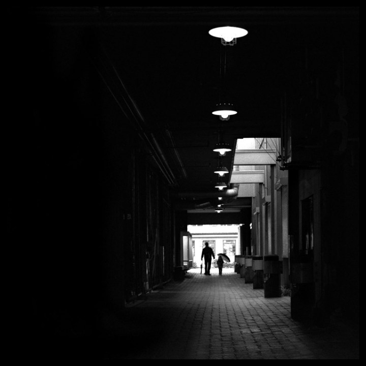 " The Path " by Pierre Le Provost